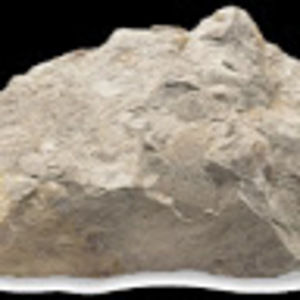 Meet your Posher, Nikita